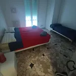 Apartment Galaxy 158 Fiera